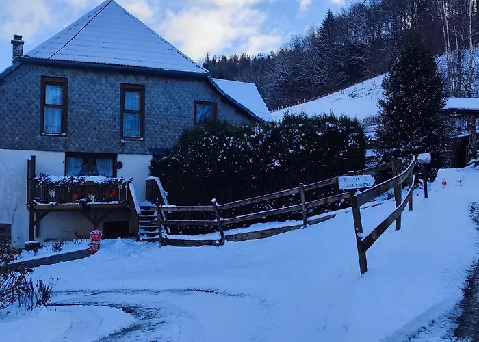 Lejlighed La Gentiane